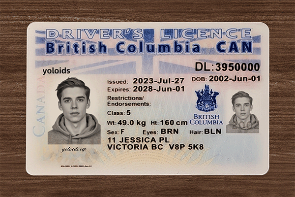 British Columbia Fake IDs