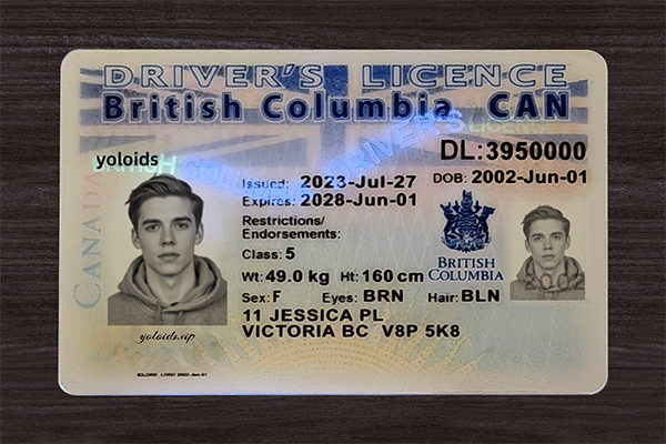 British Columbia Fake IDs