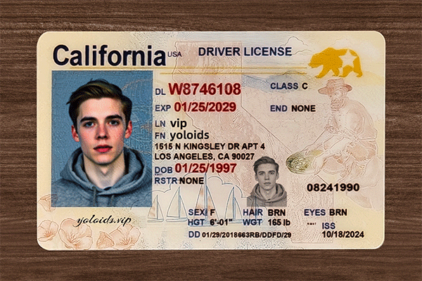 California Fake IDs