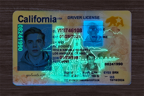 California Fake IDs