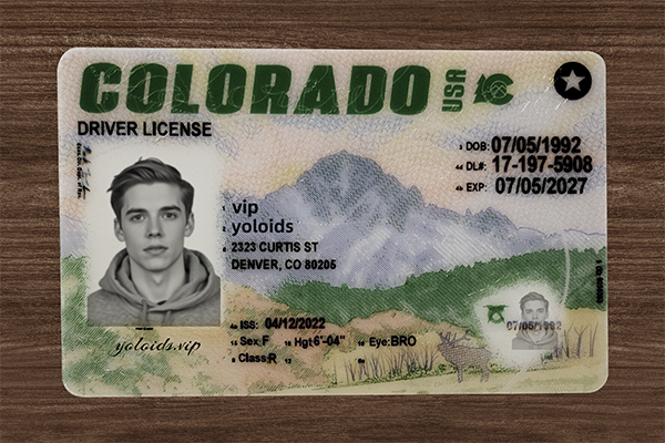 Colorado Fake Dirvers Licence
