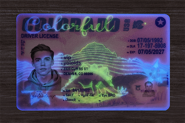 Colorado Fake Dirvers Licence