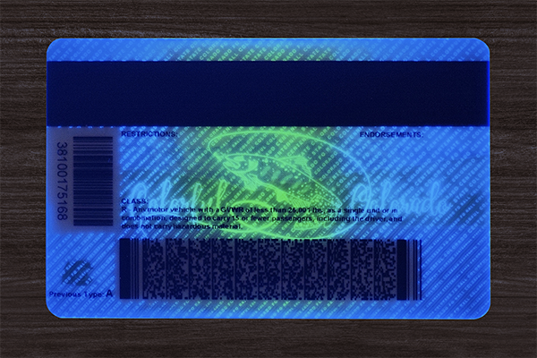 Colorado Fake Dirvers Licence