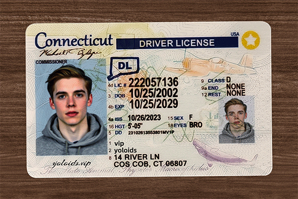 Connecticut Fake IDs