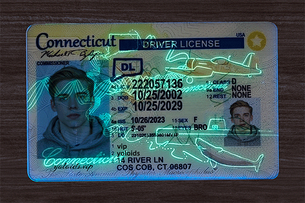 Connecticut Fake IDs