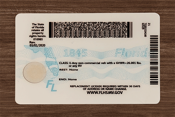 Florida Fake IDs Florida Fake IDs