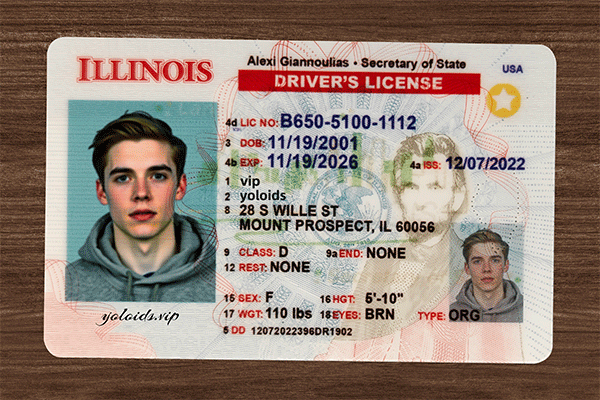 Illinois Fake IDs