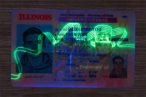 Illinois Fake IDs