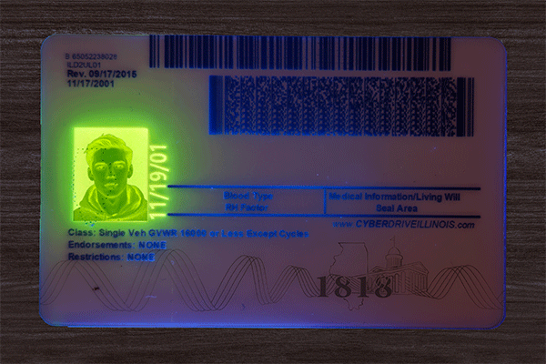 Illinois Fake IDs