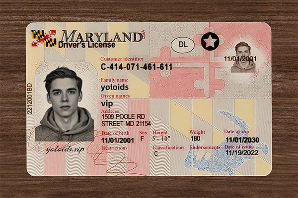 Maryland Fake IDs