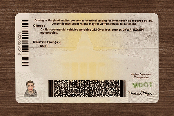 Maryland Fake IDs