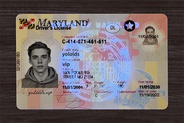 Maryland Fake IDs