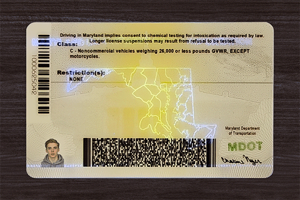 Maryland Fake IDs