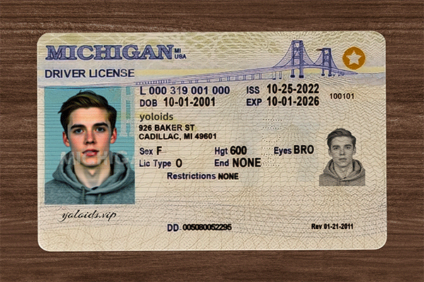 Michigan Fake IDs