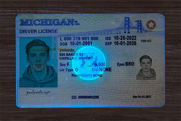 Michigan Fake IDs