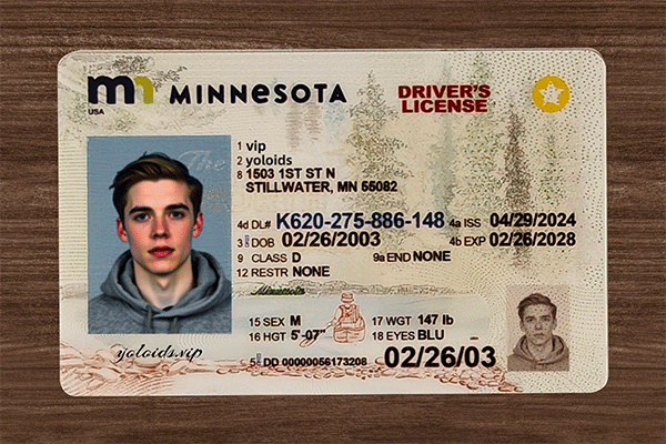 Minnesota Fake IDs