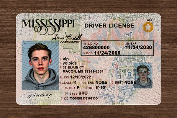 Mississippi Fake Dirvers Licence