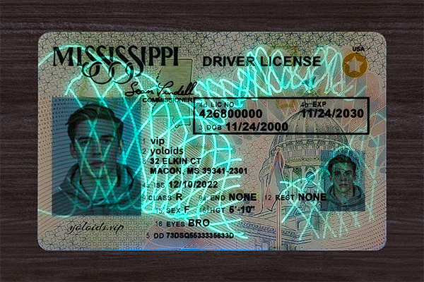 Mississippi Fake Dirvers Licence