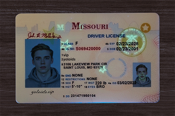 Missouri Fake Dirvers Licence