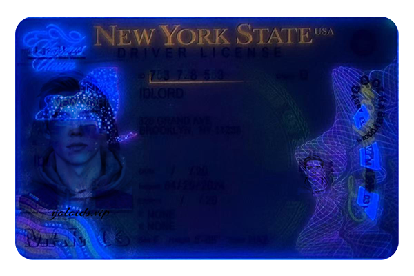 New York Fake Dirvers Licence (2025 Version)