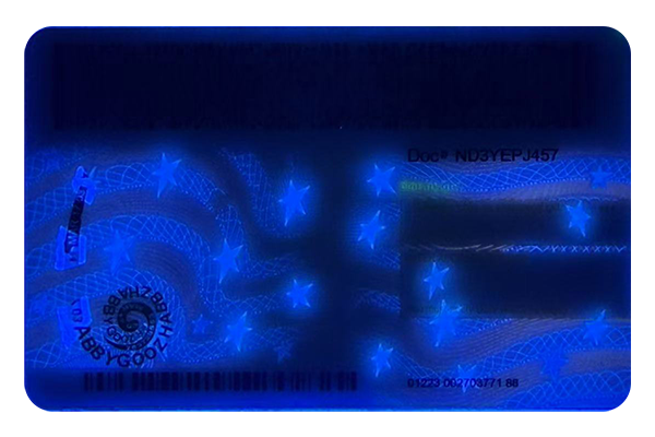 New York Fake Dirvers Licence (2025 Version)