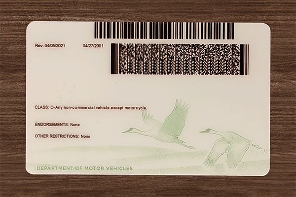 Nebraska Fake Dirvers Licence