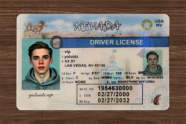 Nevada Fake Dirvers Licence