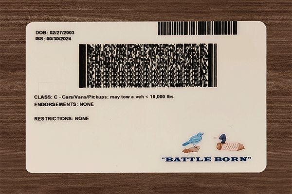 Nevada Fake Dirvers Licence