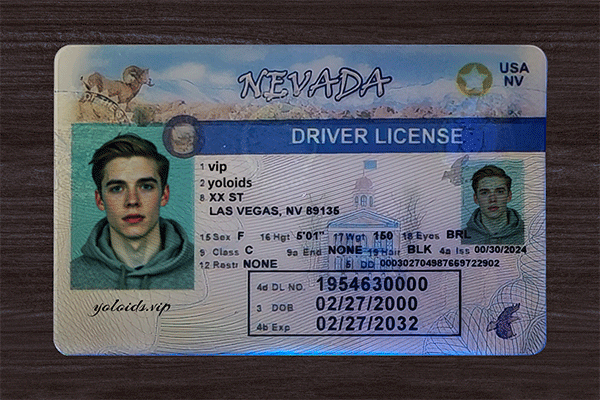 Nevada Fake Dirvers Licence
