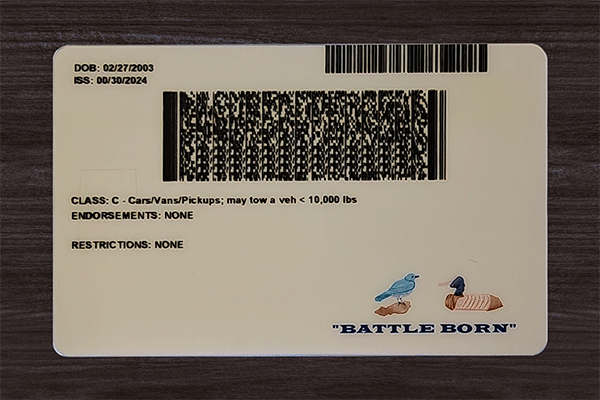 Nevada Fake Dirvers Licence