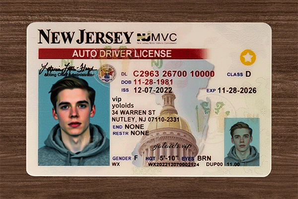 New Jersey Fake Dirvers Licence