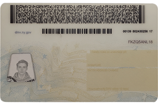 New York Scannable CDL