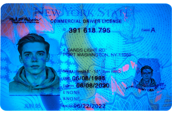 New York Scannable CDL
