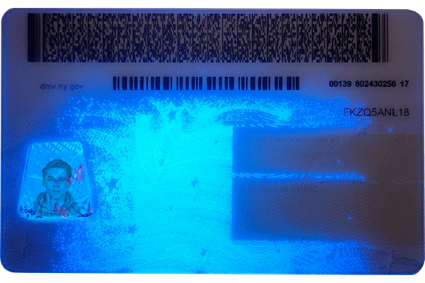New York Scannable CDL