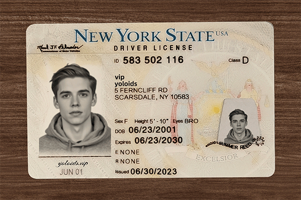 New York Fake Dirvers Licence