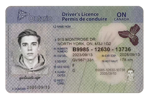 Ontario Fake Dirvers Licence (upgrade version)