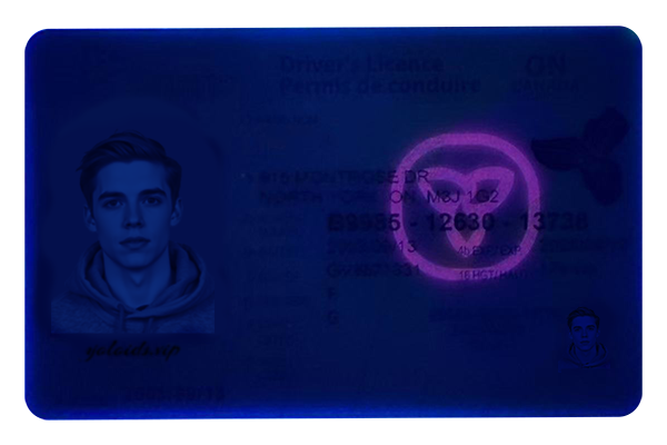 Ontario Fake Dirvers Licence (2025 version) Ontario Fake Dirvers Licence (2025 version)