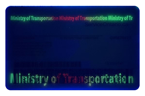 Ontario Fake Dirvers Licence (2025 version) Ontario Fake Dirvers Licence (2025 version)