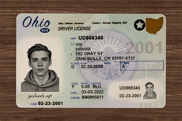 Ohio Fake Dirvers Licence