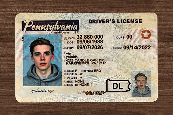 Pennsylvania Fake Dirvers Licence