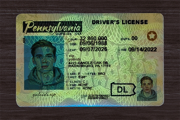 Pennsylvania Fake Dirvers Licence