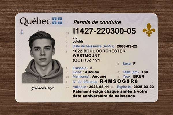 Quebec Fake Dirvers Licence