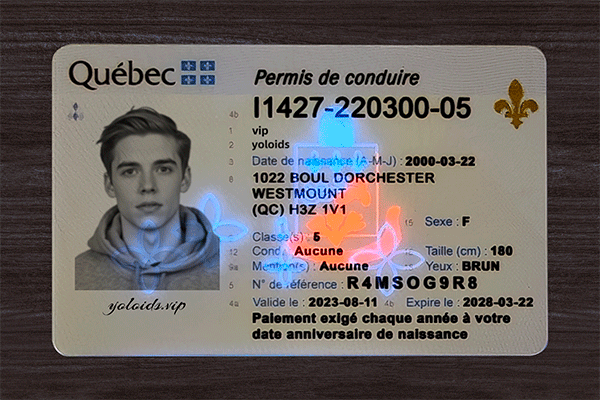 Quebec Fake Dirvers Licence