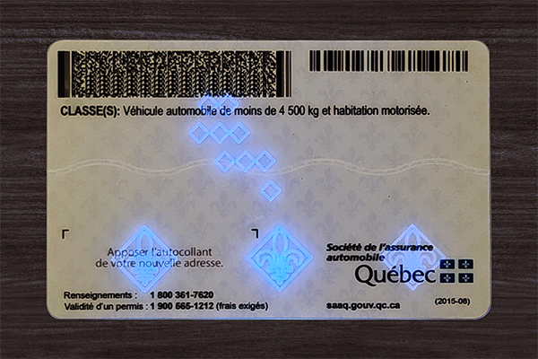 Quebec Fake Dirvers Licence