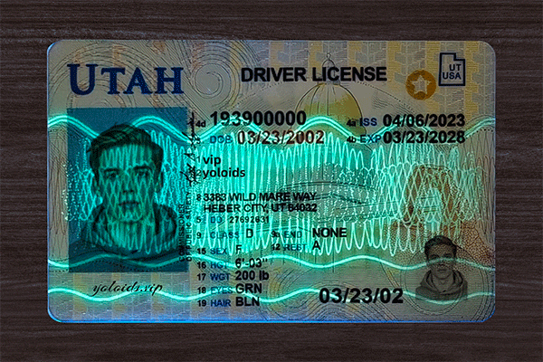 Utah Fake Dirvers Licence