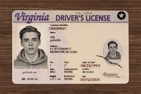 Virginia Fake Dirvers Licence