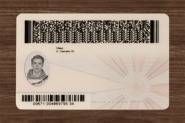 Virginia Fake Dirvers Licence