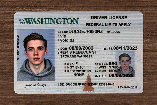 Washington Fake Dirvers Licence