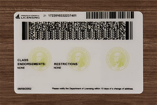 Washington Fake Dirvers Licence