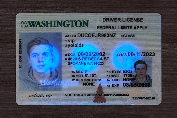 Washington Fake Dirvers Licence